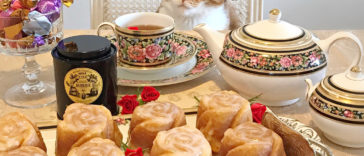 Pampered pets, Pampered pet, Pampered cat, Pampered cats, Pampered kitty