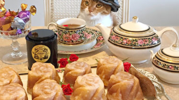 Pampered pets, Pampered pet, Pampered cat, Pampered cats, Pampered kitty